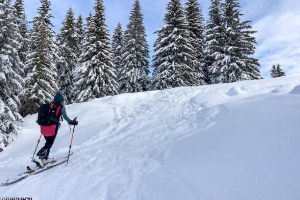 体育培训协议签订与注意事项解析